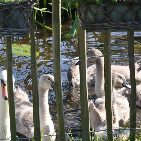 Tiny House Alpehytte